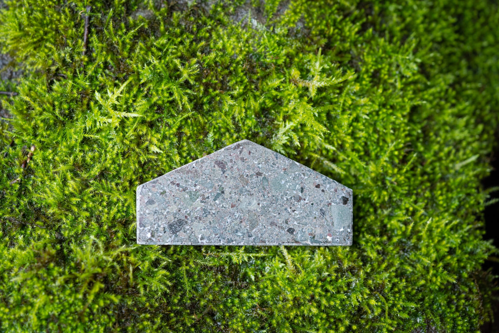 base_04